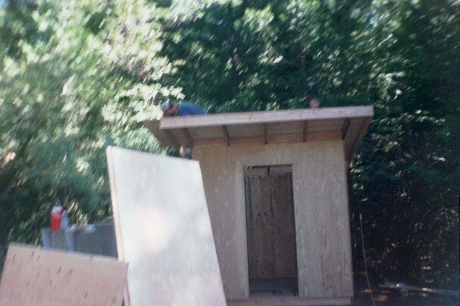 roofoverhead.jpg